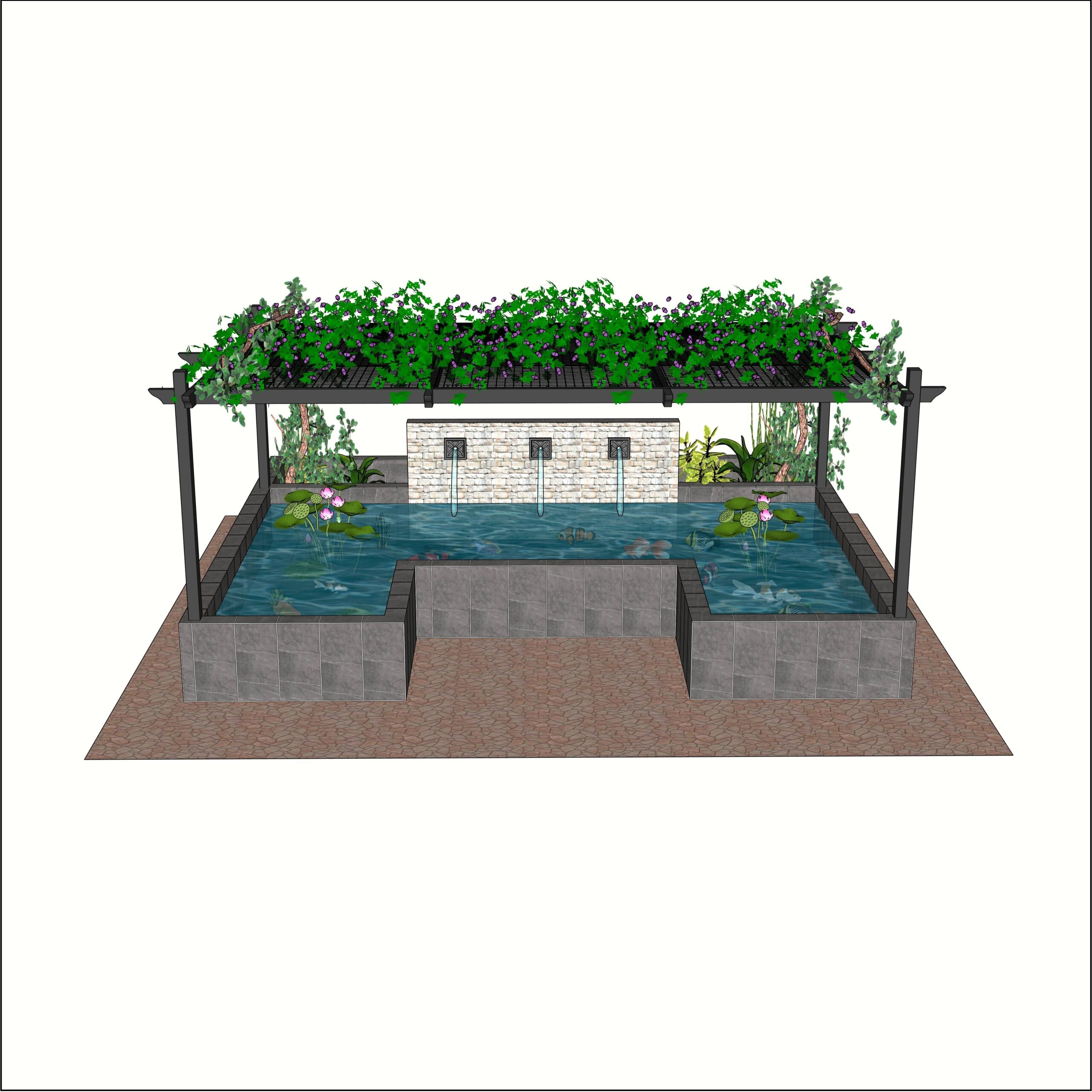 R.C pond